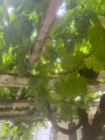 2400 Nelligan Road Glen Ellen CA 95442