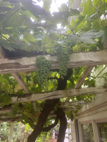 2400 Nelligan Road Glen Ellen CA 95442