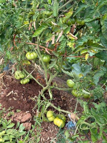 2400 Nelligan Road Glen Ellen CA 95442