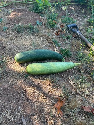 2400 Nelligan Road Glen Ellen CA 95442