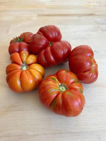 2400 Nelligan Road Glen Ellen CA 95442