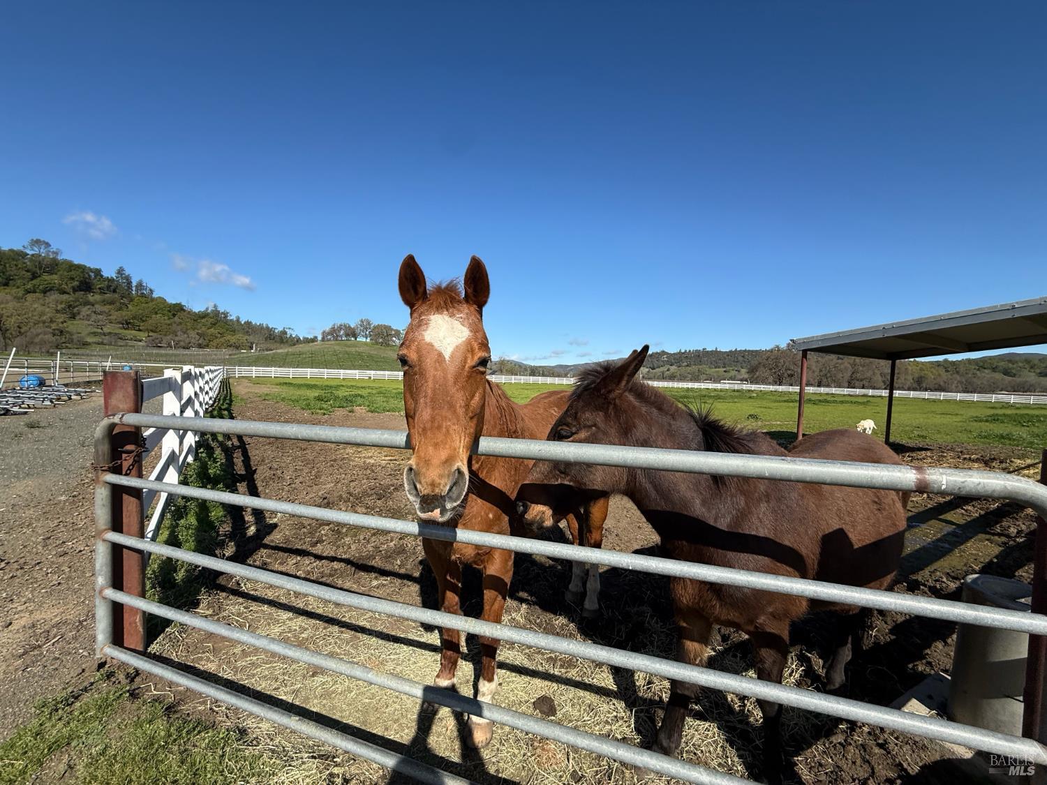 St. Helena CA 94574