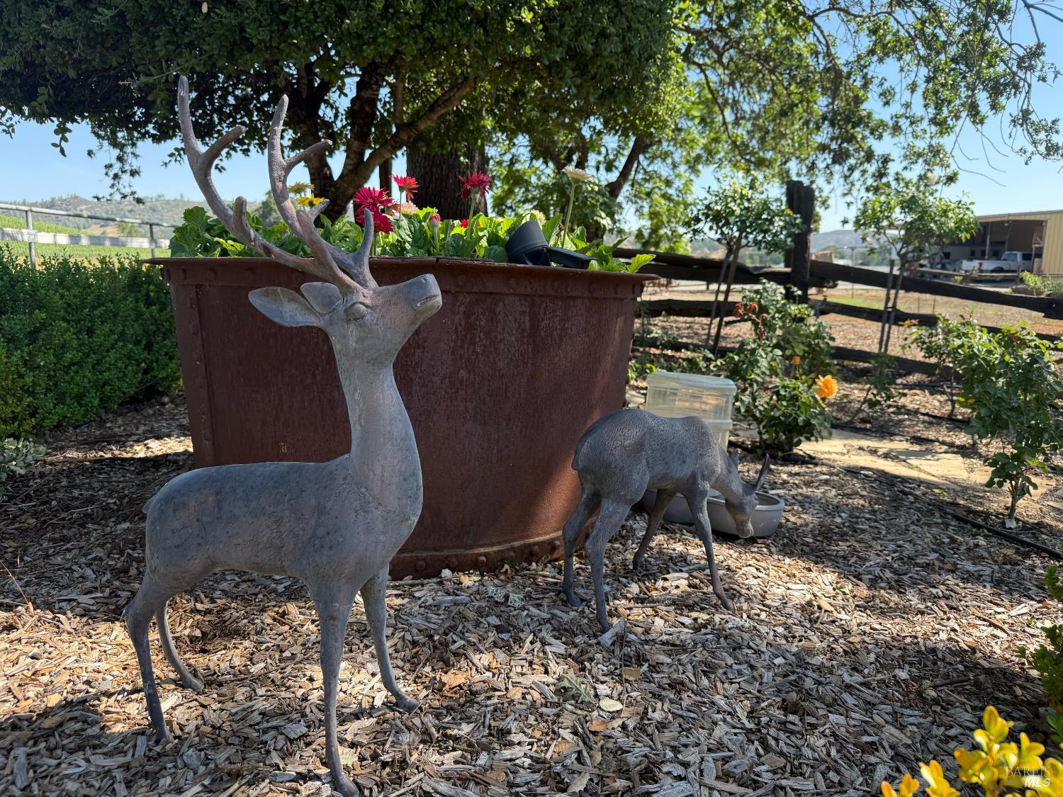 St. Helena CA 94574