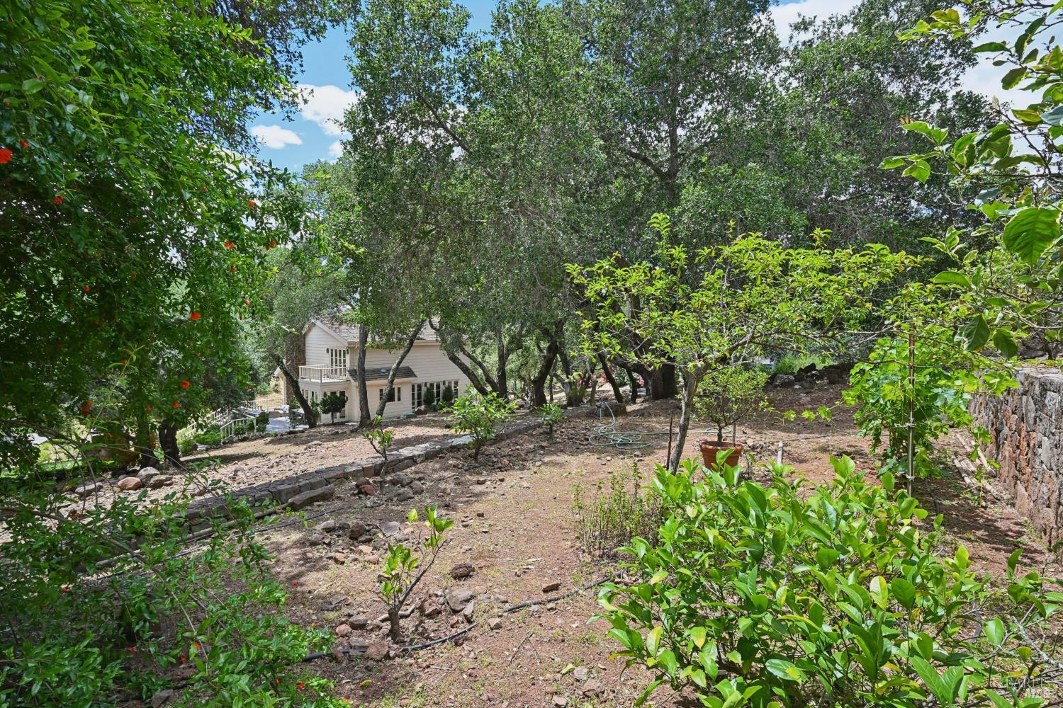 7768 Silverado Trail Napa CA 94558