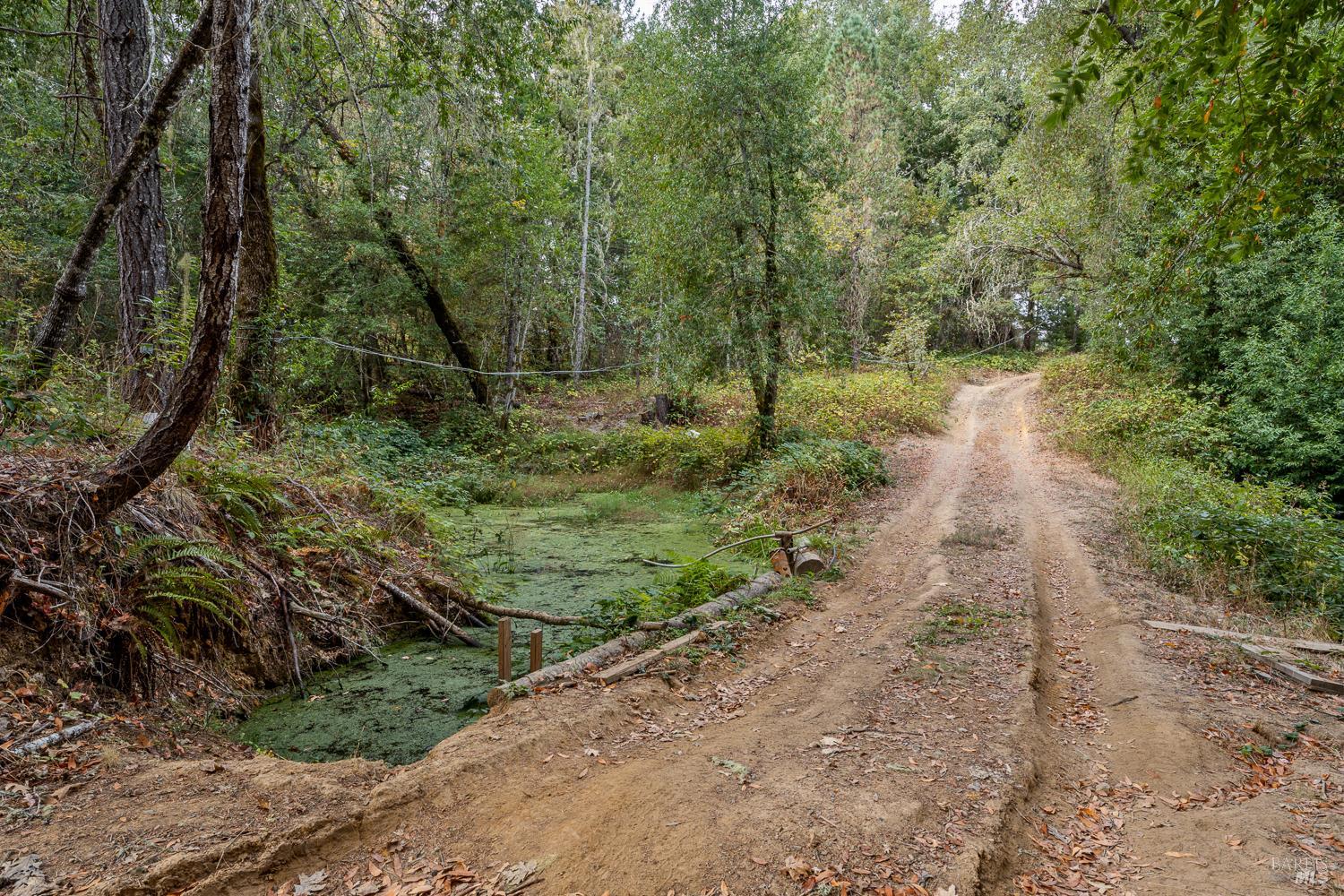 1995 E Hill Road Willits CA 95490