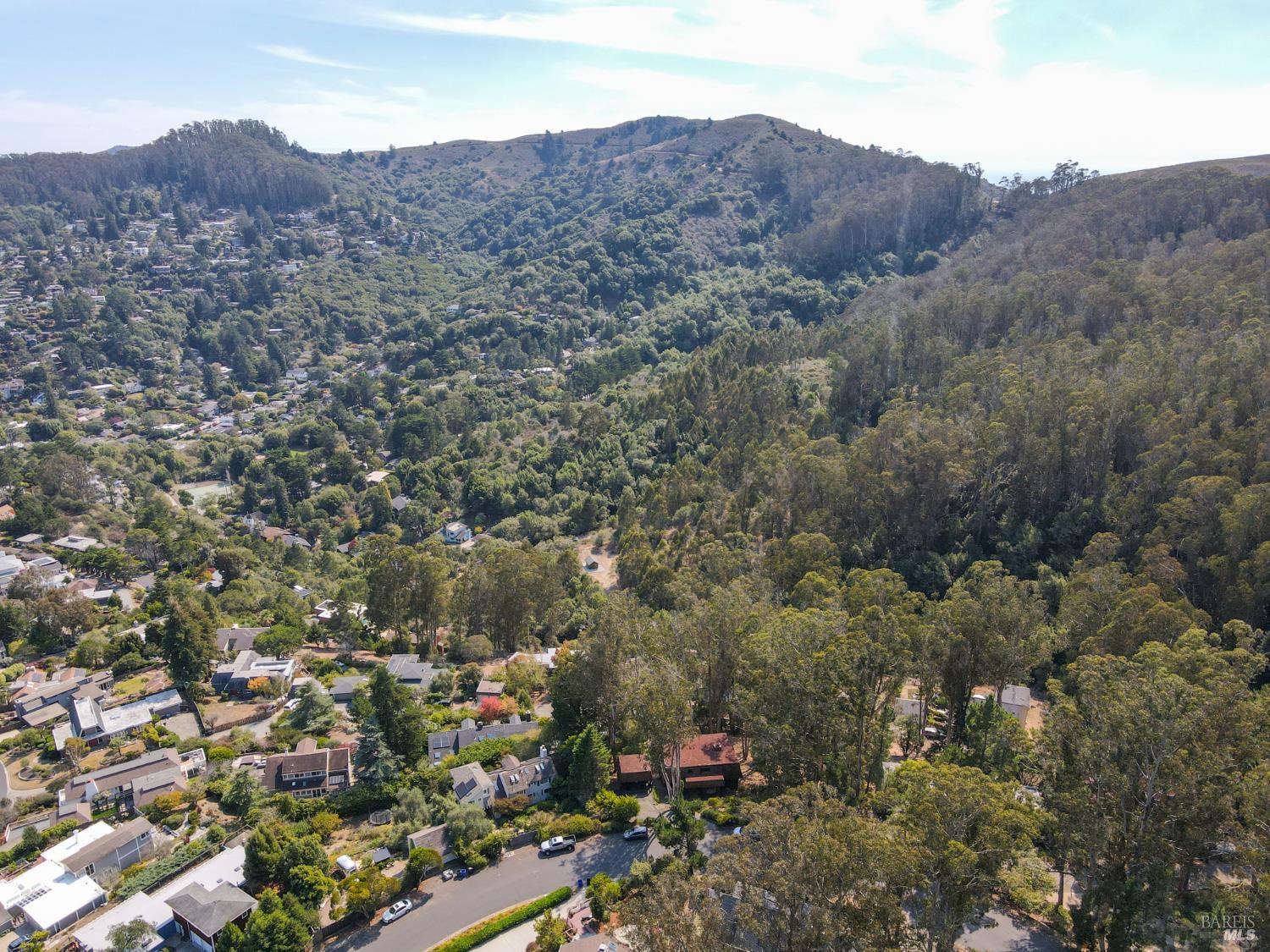 1008 Erica Road Mill Valley CA 94941