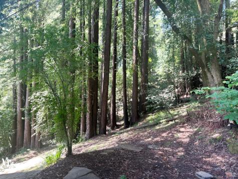 18349 Neeley Road Guerneville CA 95446