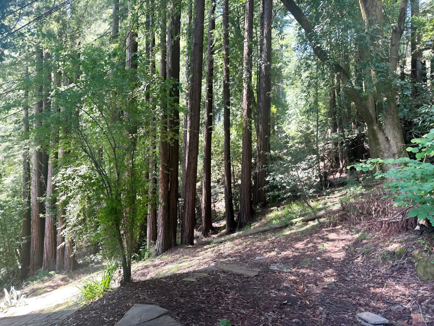 18349 Neeley Road Guerneville CA 95446