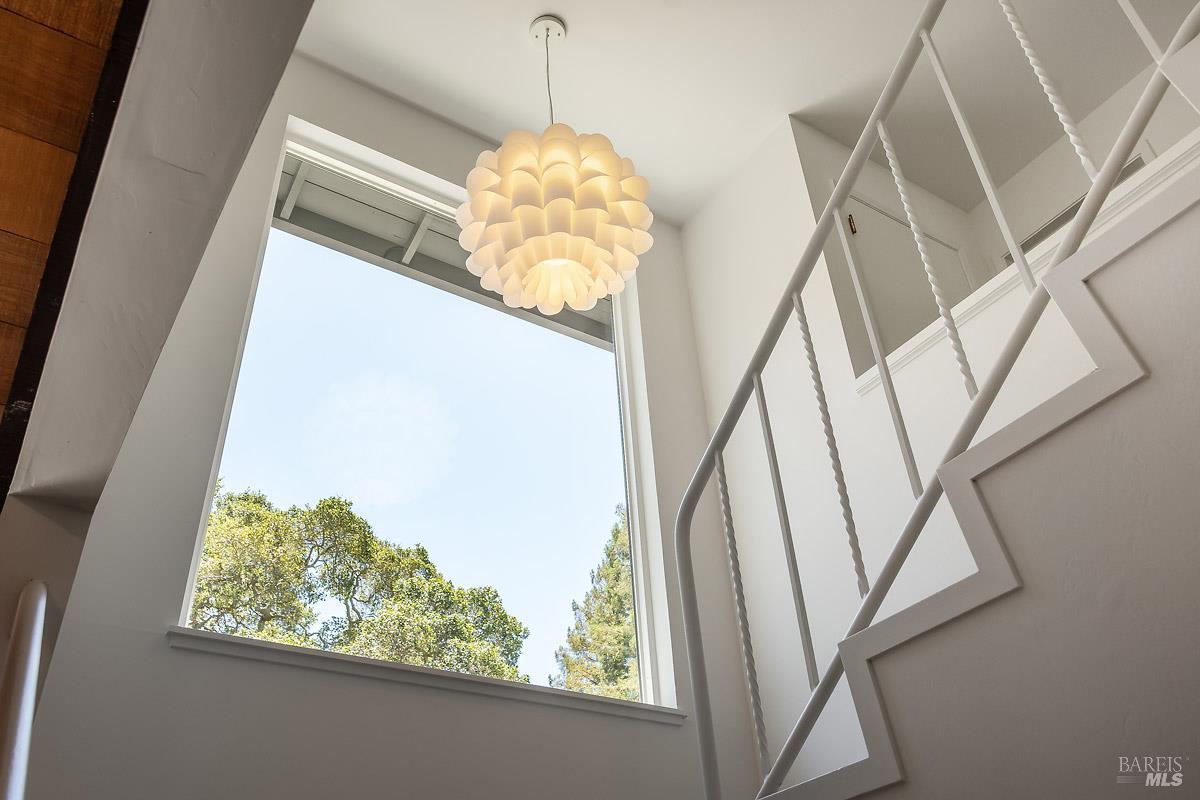 316 Riviera Drive San Rafael CA 94901