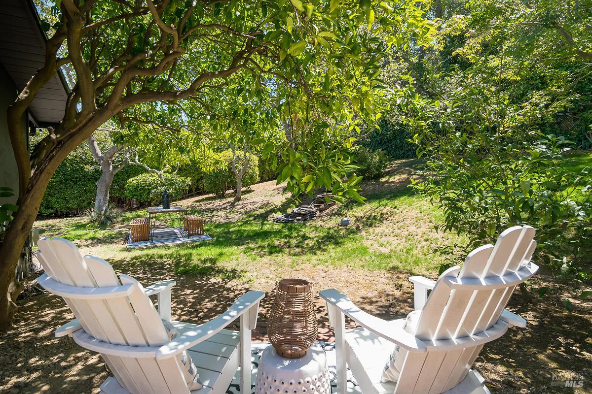 316 Riviera Drive San Rafael CA 94901