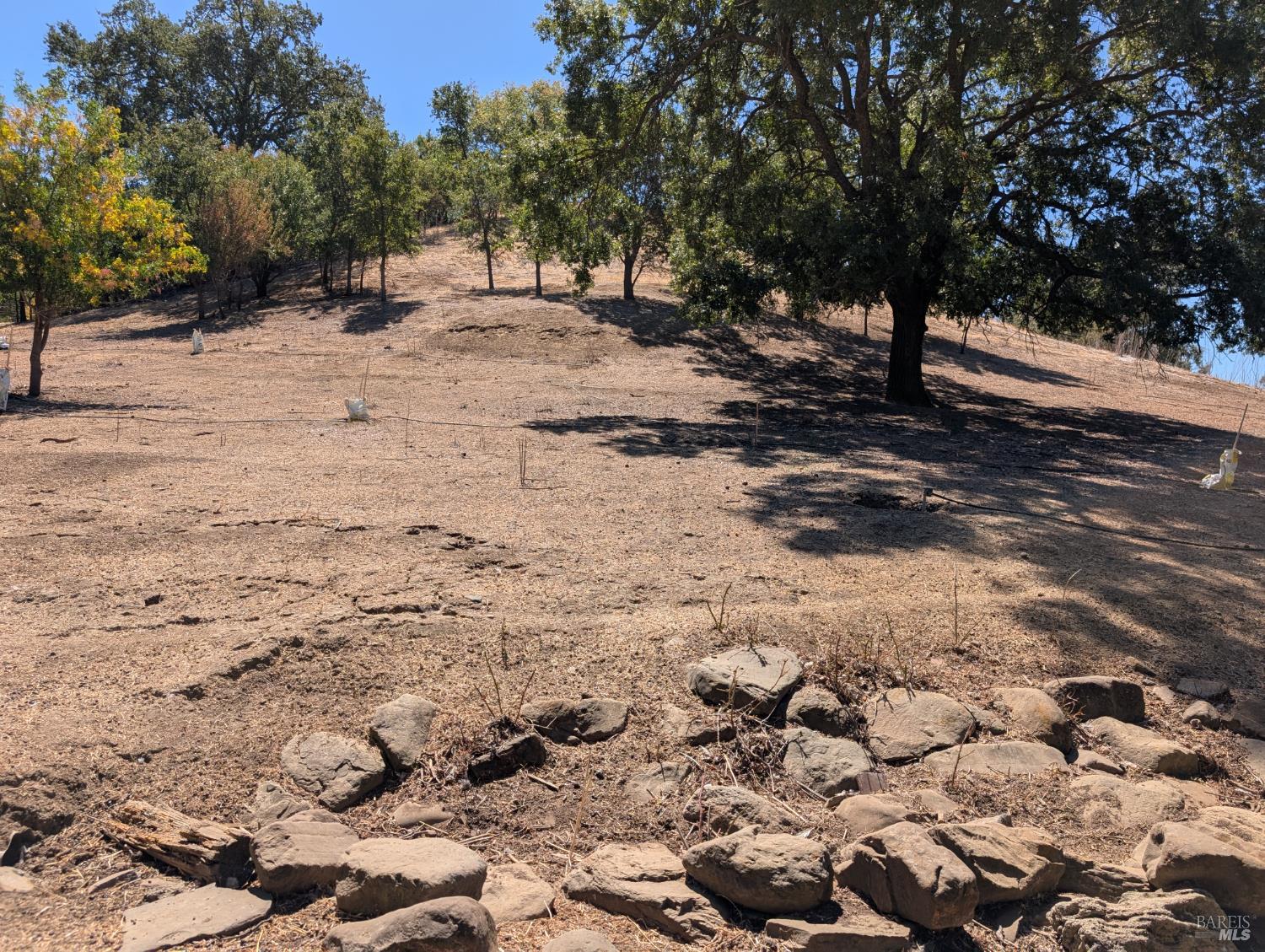 6526 Gibson Canyon Road Vacaville CA 95688