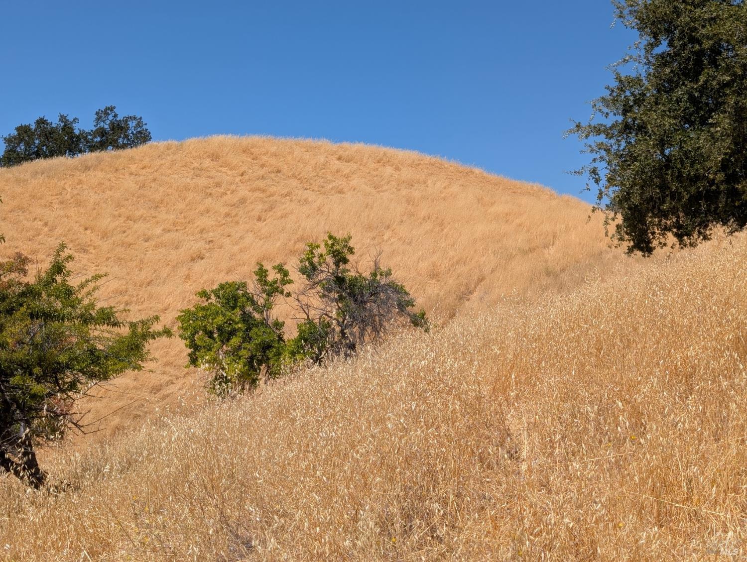 6526 Gibson Canyon Road Vacaville CA 95688