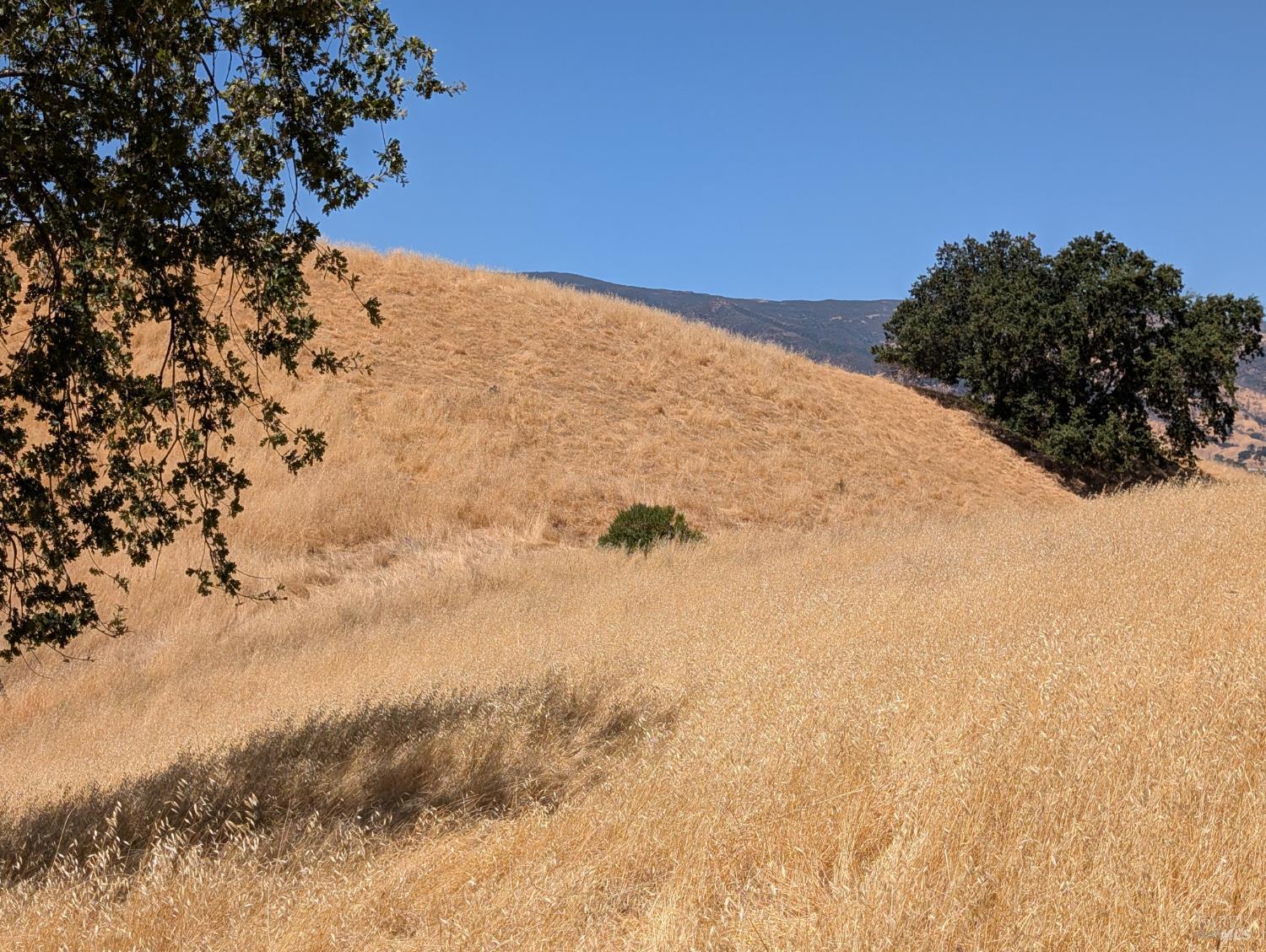 6526 Gibson Canyon Road Vacaville CA 95688
