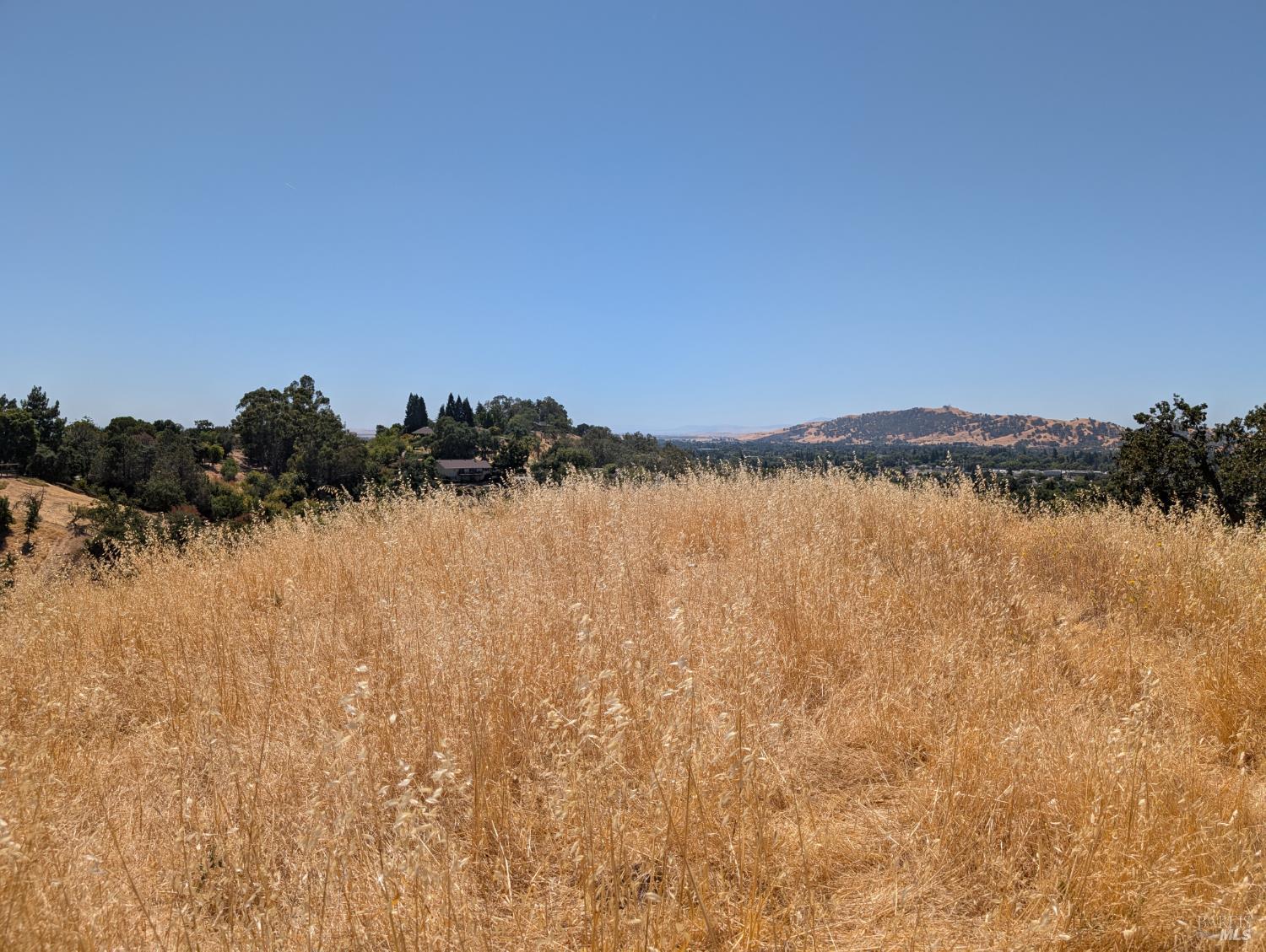 6526 Gibson Canyon Road Vacaville CA 95688