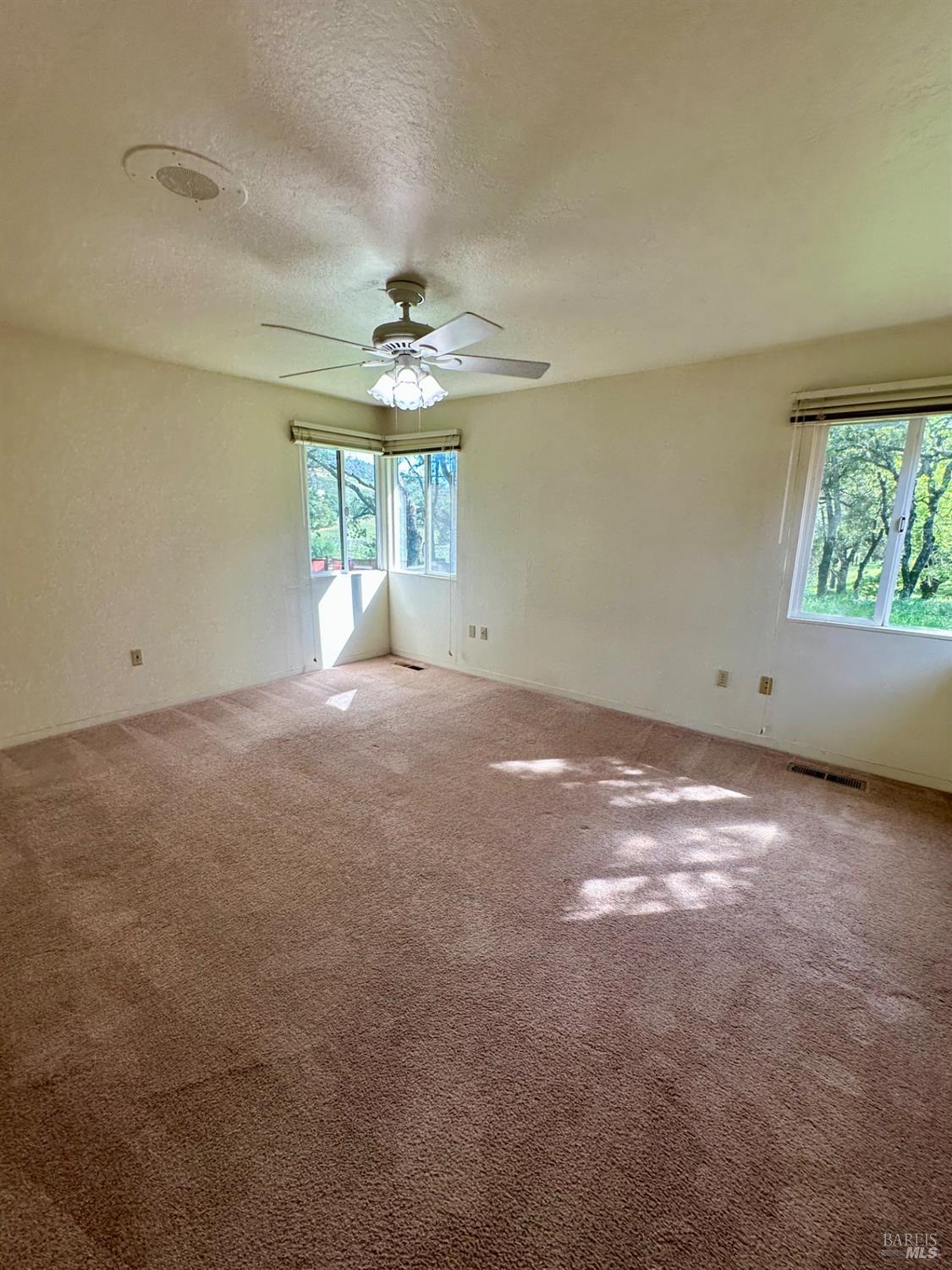 993 Champion Lane Deer Park CA 94576