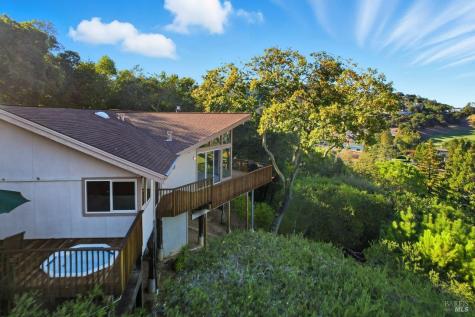 16 Burning Tree Drive Novato CA 94949