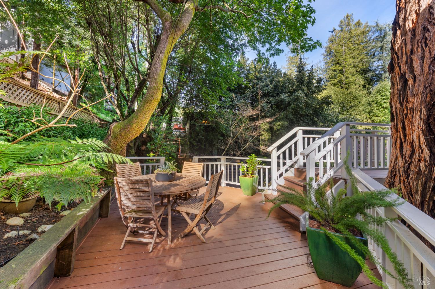 43 Creek Road San Anselmo CA 94960