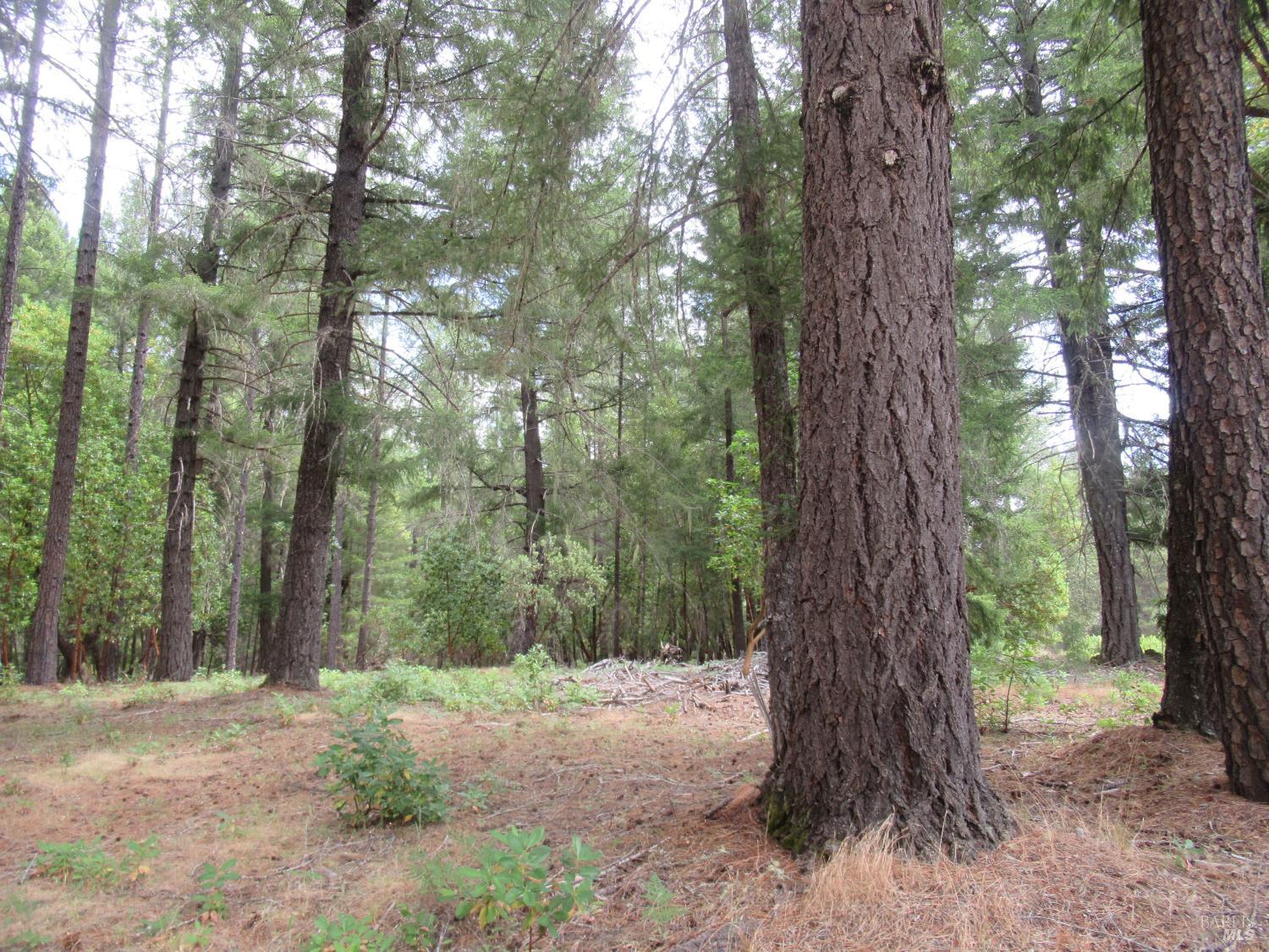 48700 Hwy 101 Highway Laytonville CA 95454