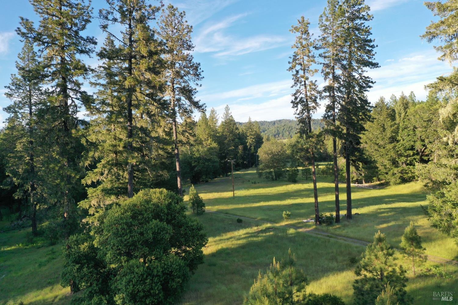 48700 Hwy 101 Highway Laytonville CA 95454