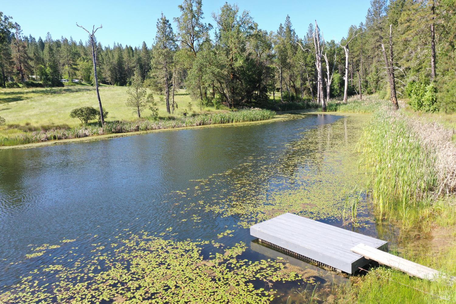 48700 Hwy 101 Highway Laytonville CA 95454