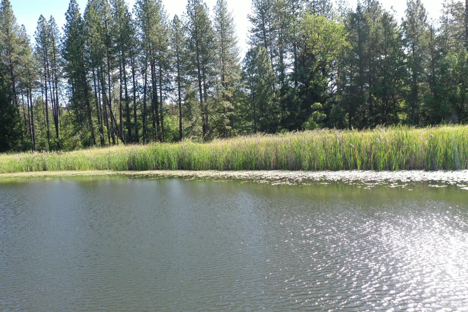 48700 Hwy 101 Highway Laytonville CA 95454