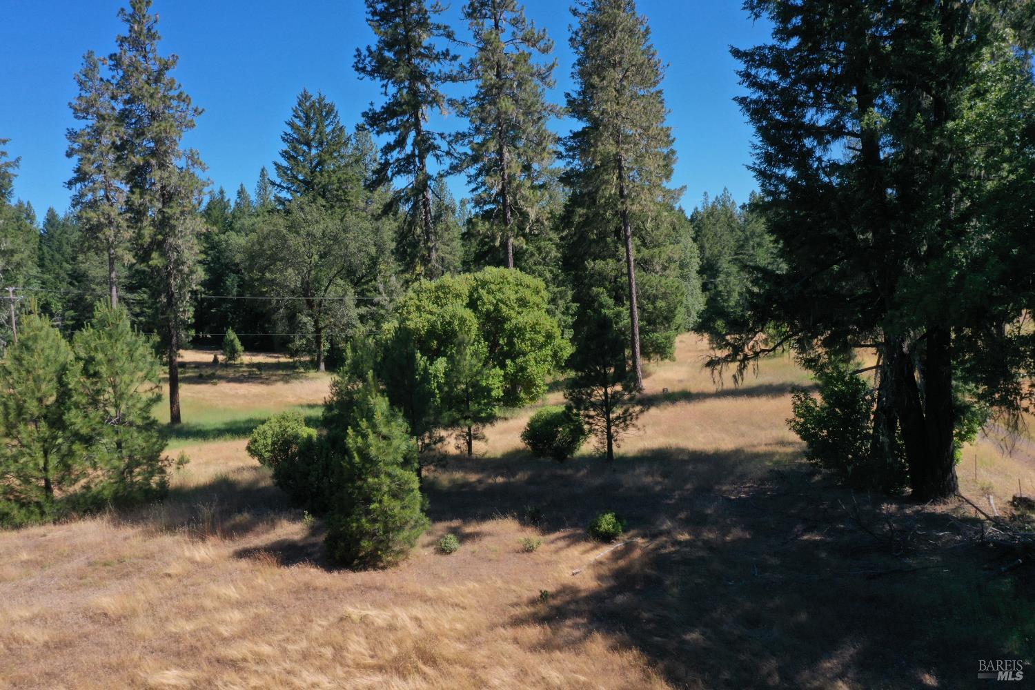 48700 Hwy 101 Highway Laytonville CA 95454
