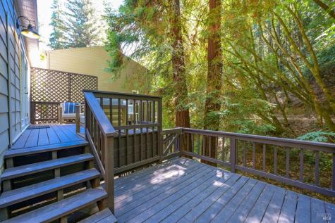 207 Madrone Avenue Larkspur CA 94939