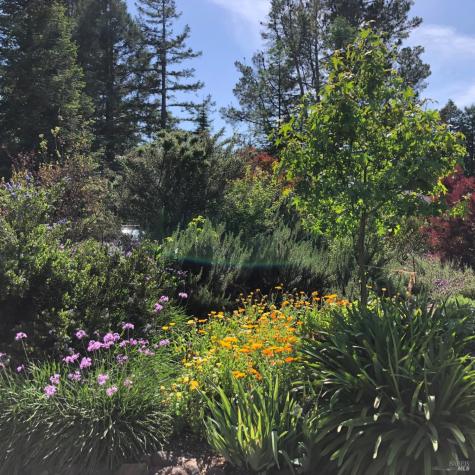 578 Caber Drive Santa Rosa CA 95409