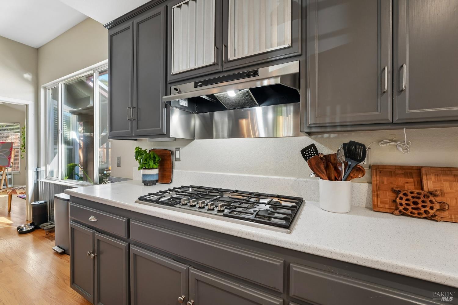 316 Dominic Court Windsor CA 95492