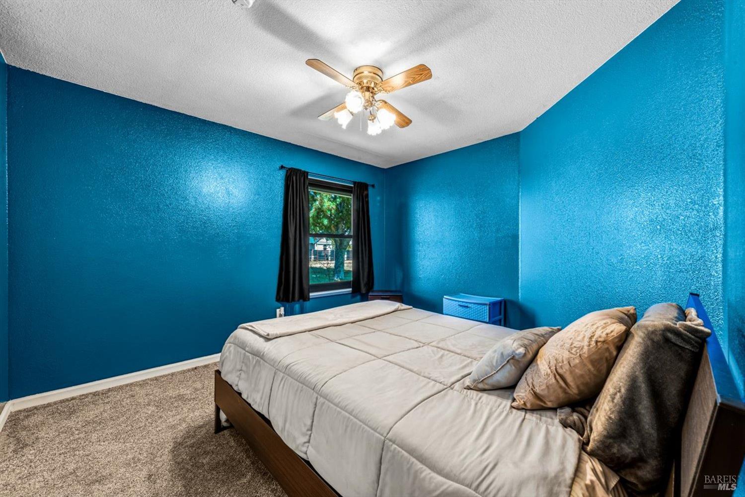 8409 Kobert Court Winters CA 95694