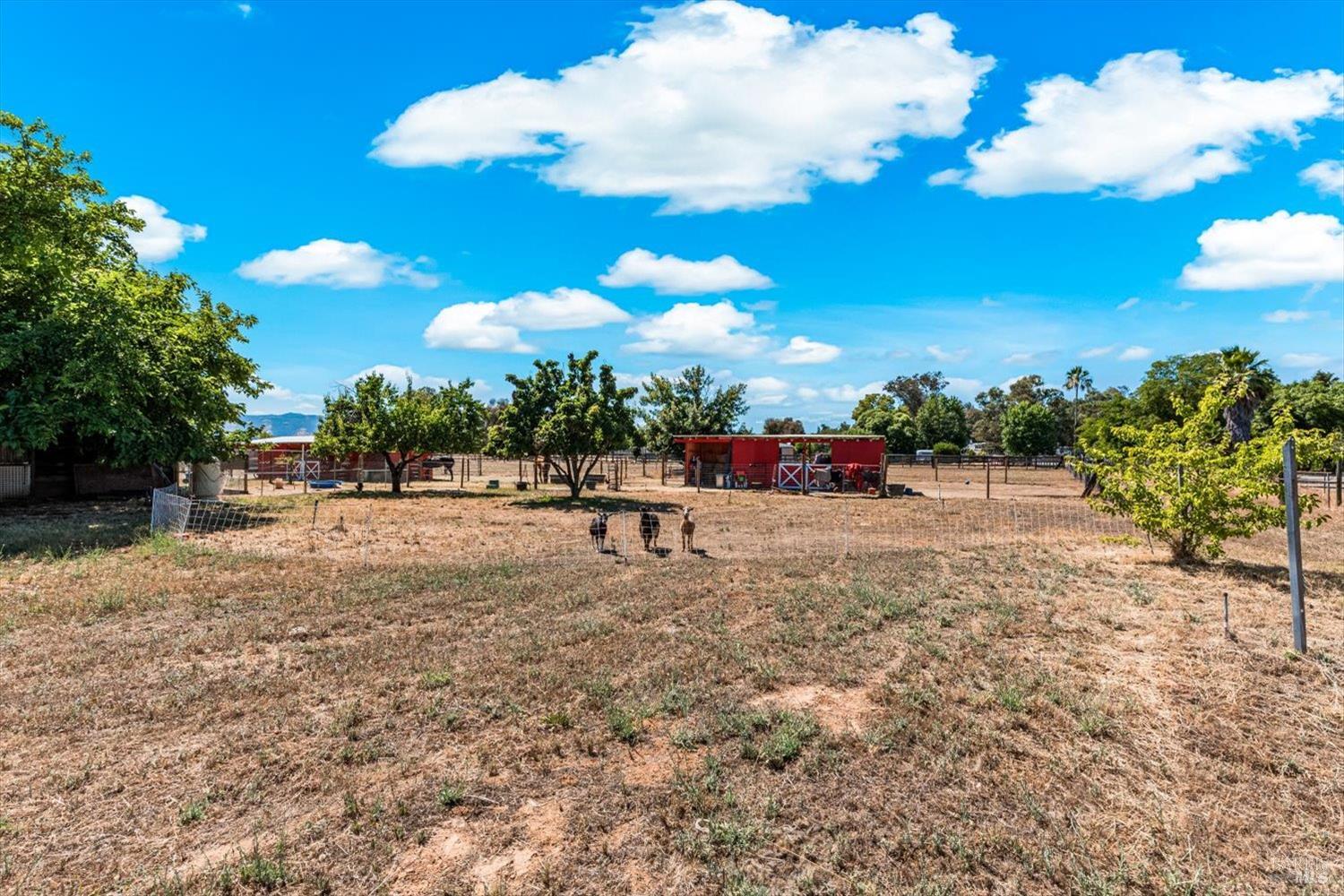 8409 Kobert Court Winters CA 95694