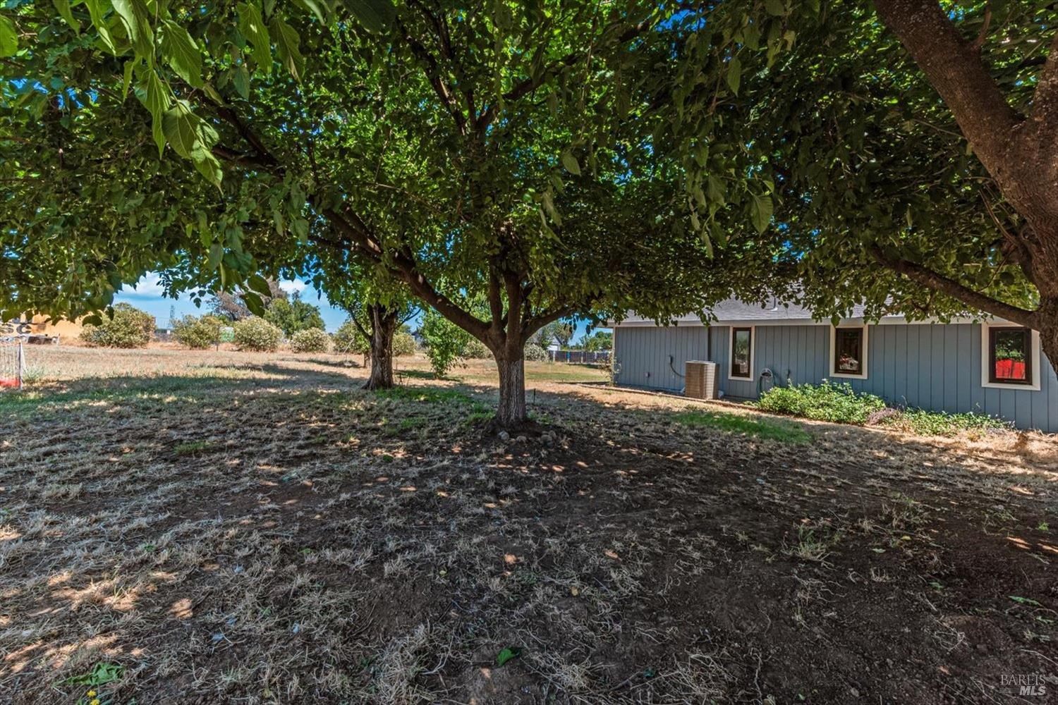 8409 Kobert Court Winters CA 95694