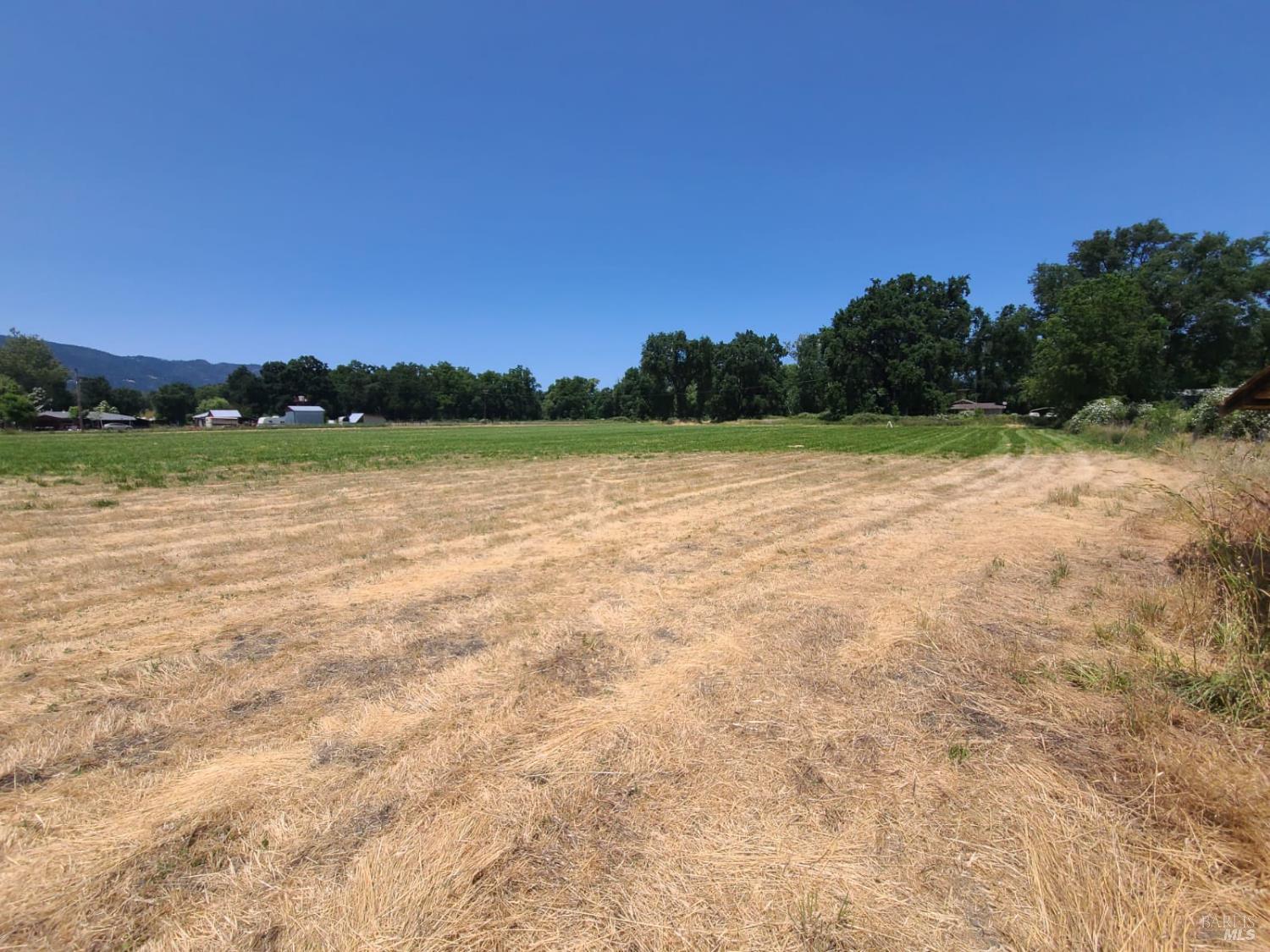 24450 Wattenburg Road Covelo CA 95428