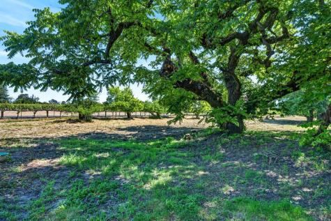 2062 Laguna Road Santa Rosa CA 95401