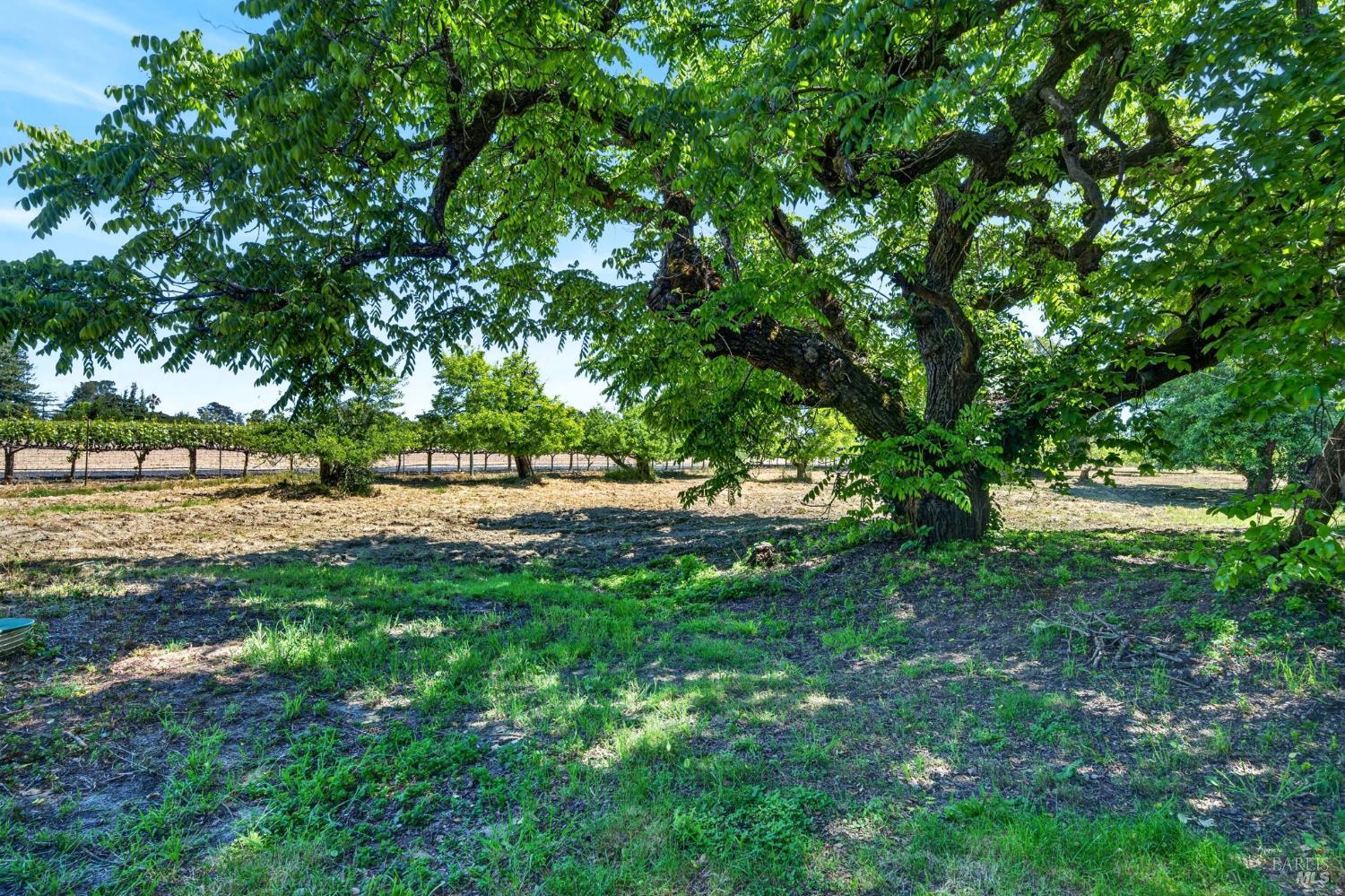 2062 Laguna Road Santa Rosa CA 95401