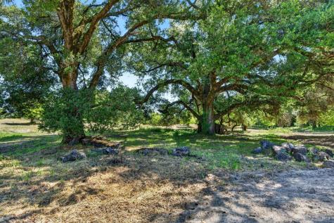 2062 Laguna Road Santa Rosa CA 95401