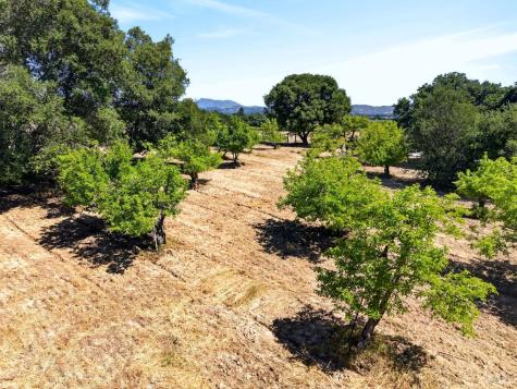 2062 Laguna Road Santa Rosa CA 95401