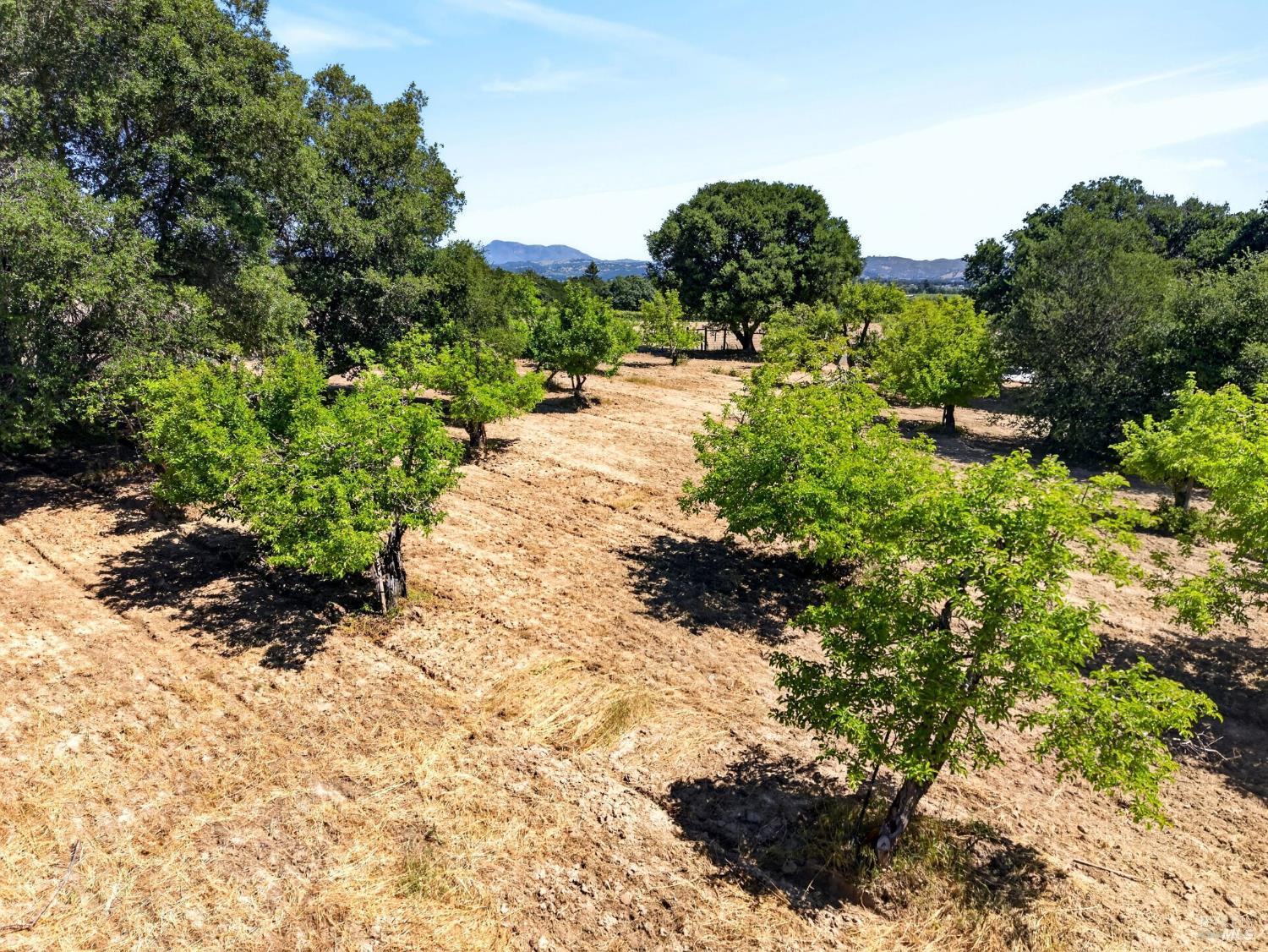 2062 Laguna Road Santa Rosa CA 95401