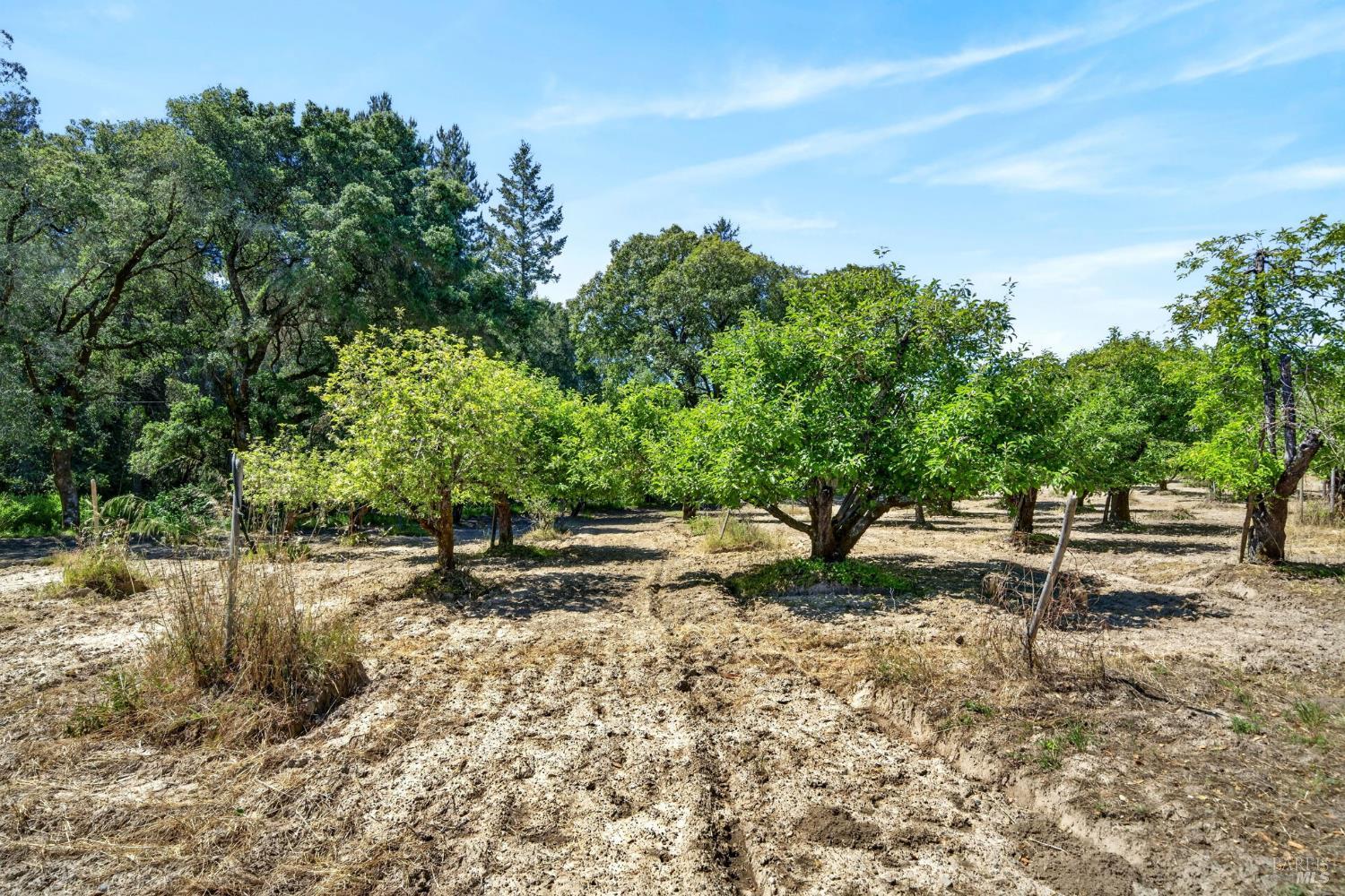 2062 Laguna Road Santa Rosa CA 95401