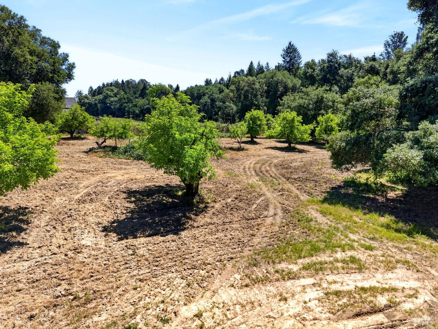 2062 Laguna Road Santa Rosa CA 95401