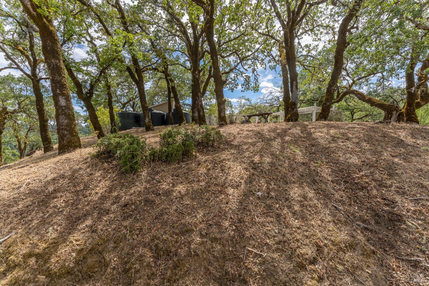 8150 Orr Springs Road Ukiah CA 95482