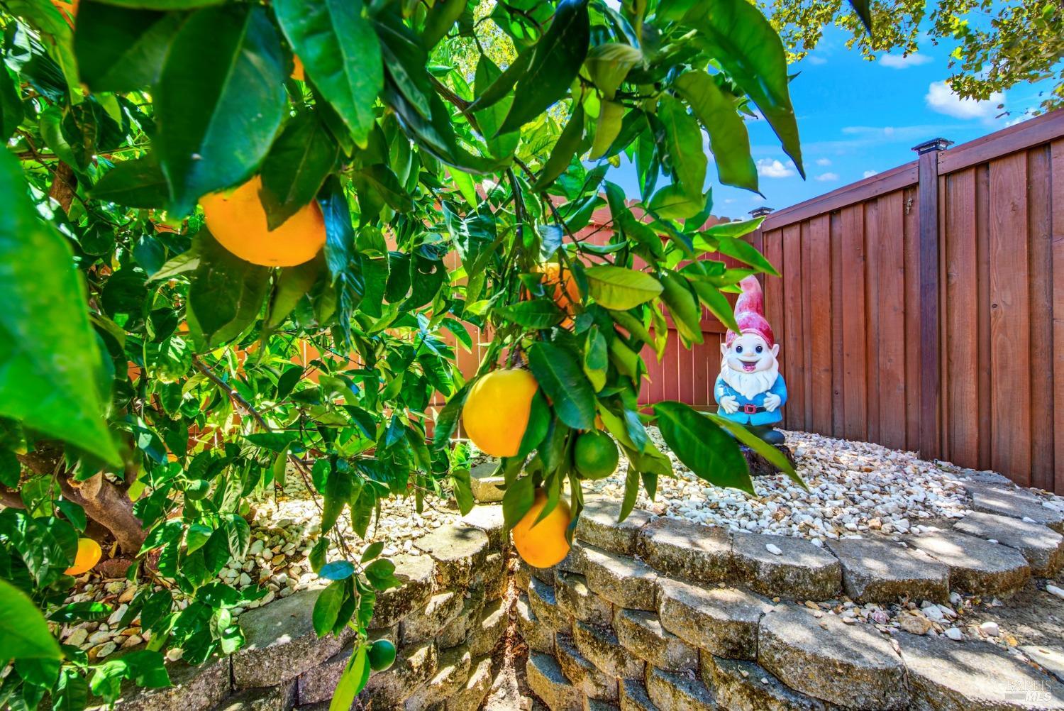 413 Crownpointe Circle Vacaville CA 95687