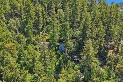 11688 Oak Road Forestville CA 95436
