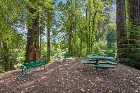 11688 Oak Road Forestville CA 95436