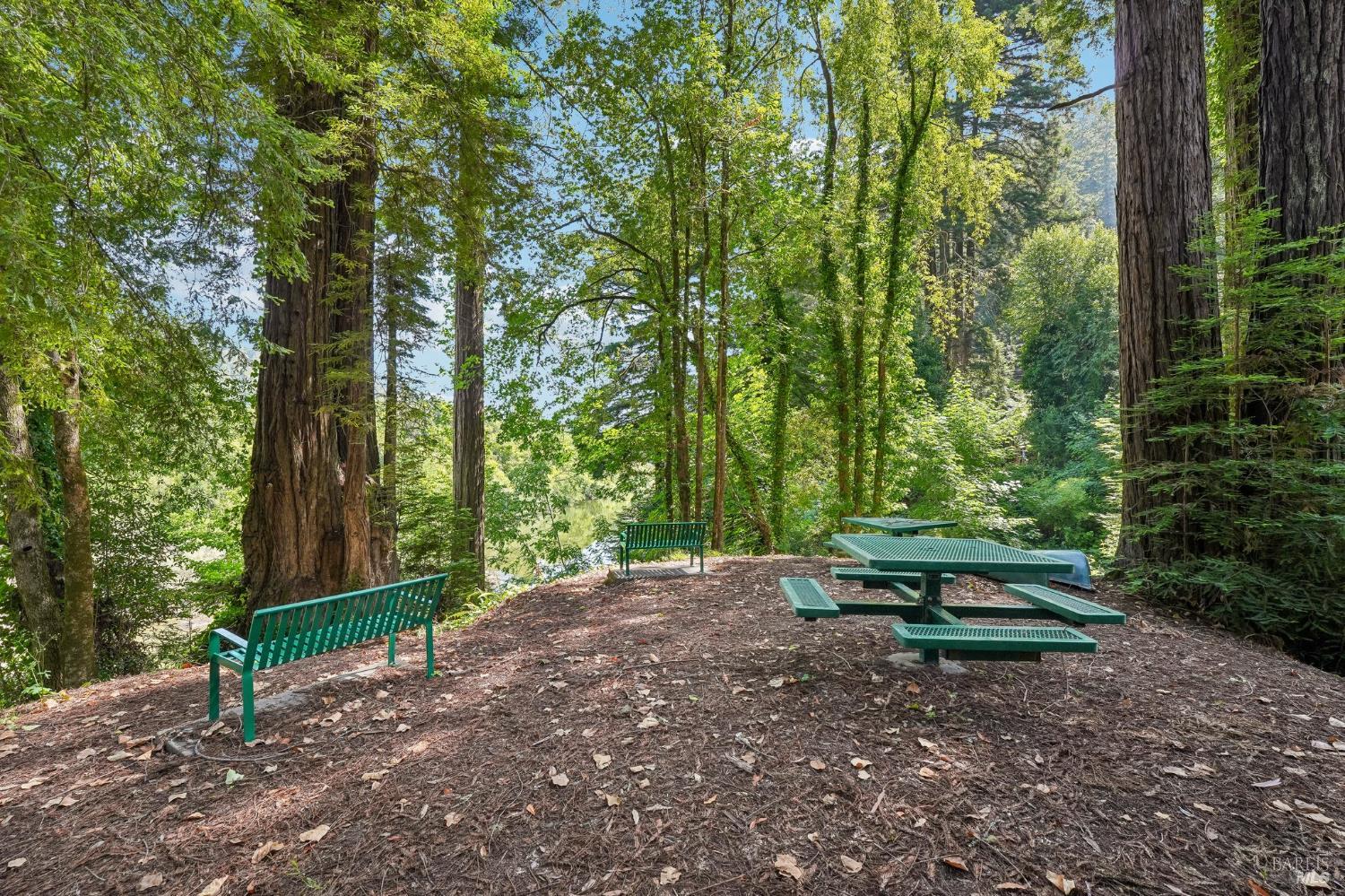 11688 Oak Road Forestville CA 95436