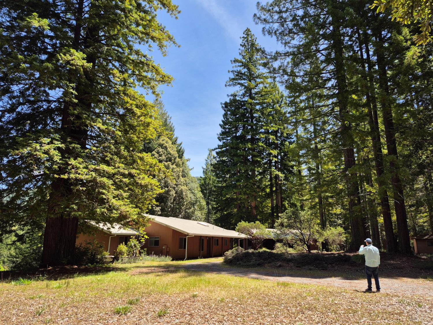 11903 Branscomb Road Branscomb CA 95417