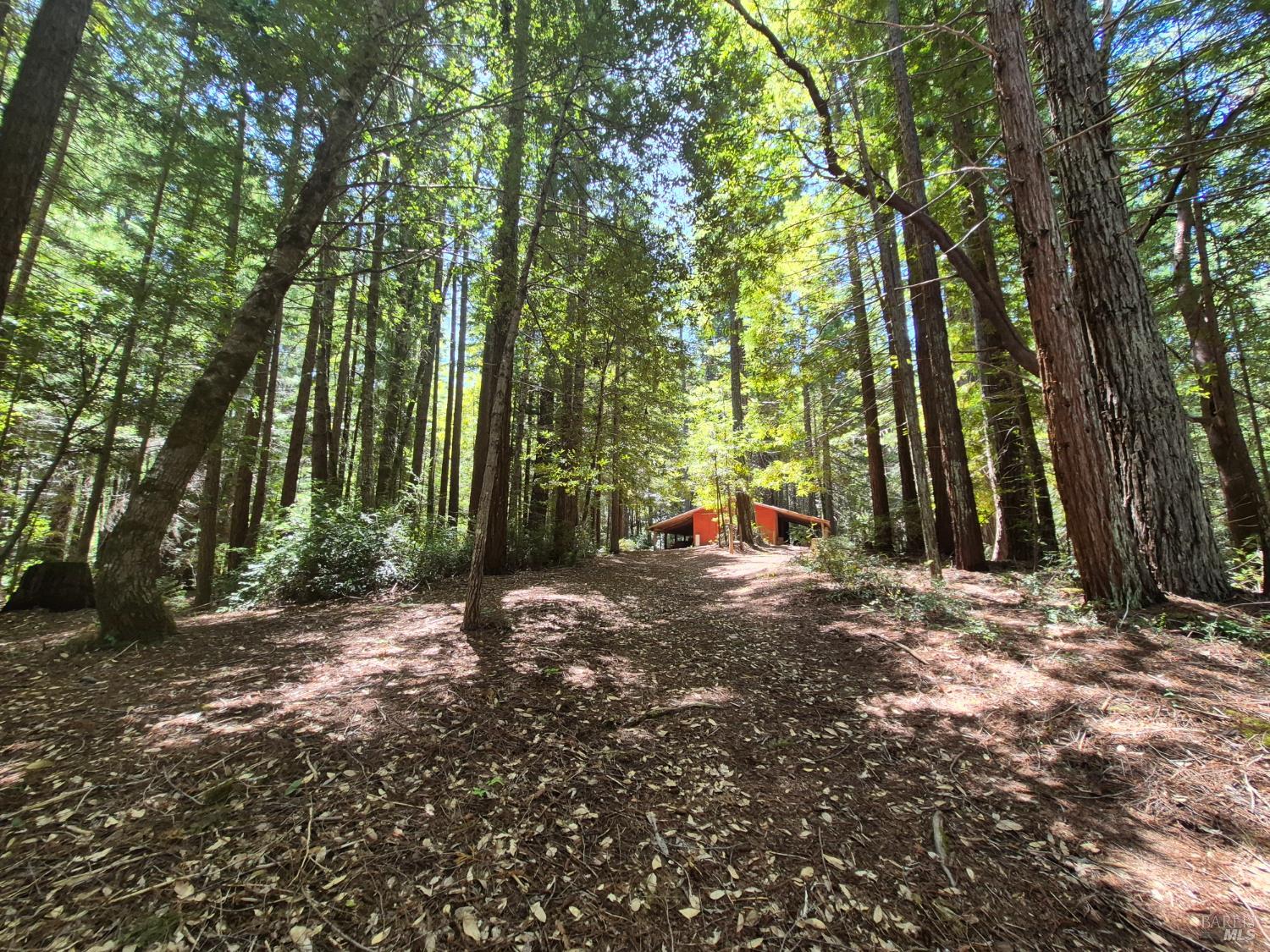 11903 Branscomb Road Branscomb CA 95417