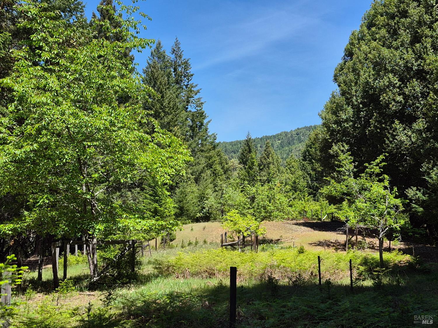 11903 Branscomb Road Branscomb CA 95417