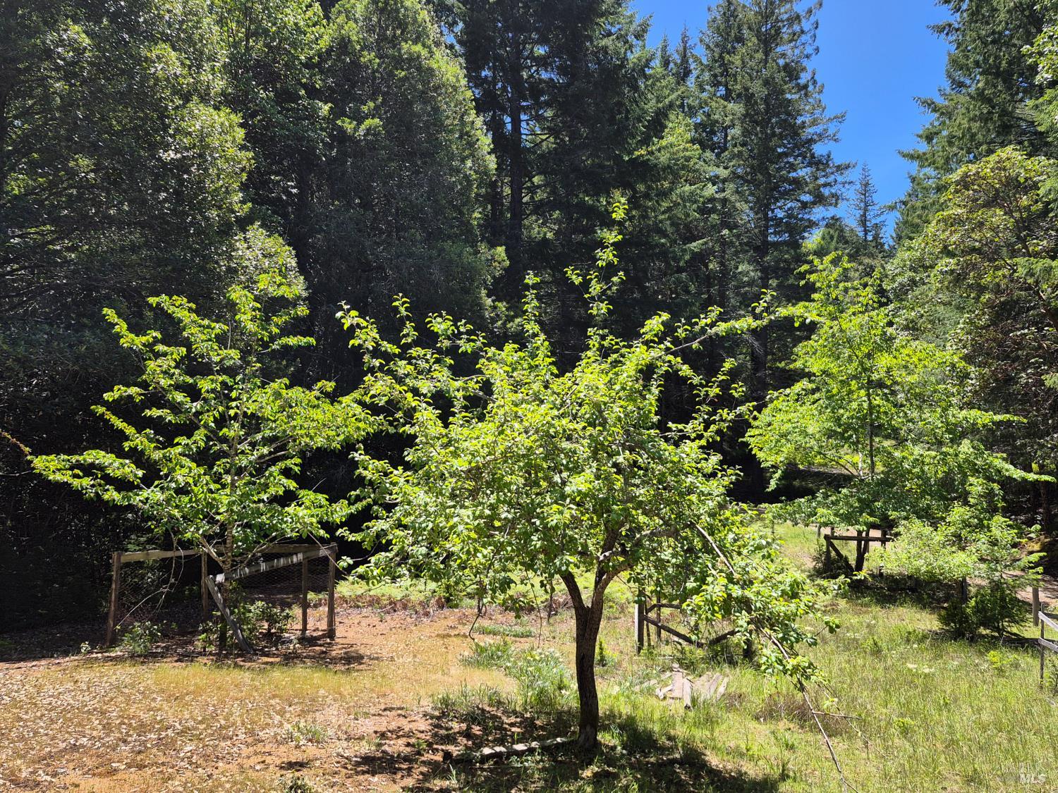 11903 Branscomb Road Branscomb CA 95417