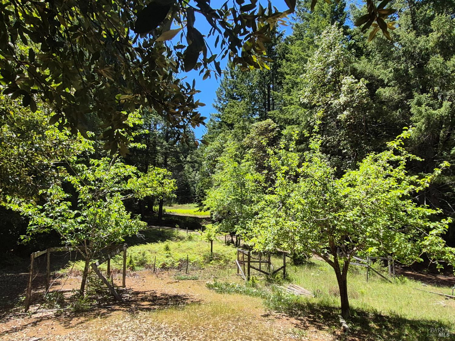 11903 Branscomb Road Branscomb CA 95417